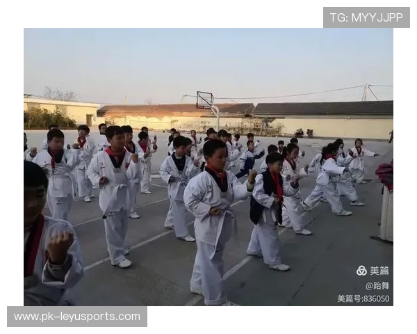 跆拳道协会推动校园武德教育与体能训练，跆拳道进校园美篇